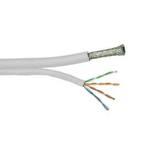 HNC-1-WT